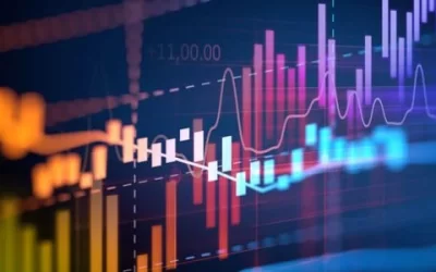 Halving y ciclos del mercado: la mirada profesional de N&W Professional Traders sobre el trading cripto